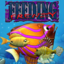 Game-Feeding-frenzy