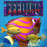 Feeding Frenzy